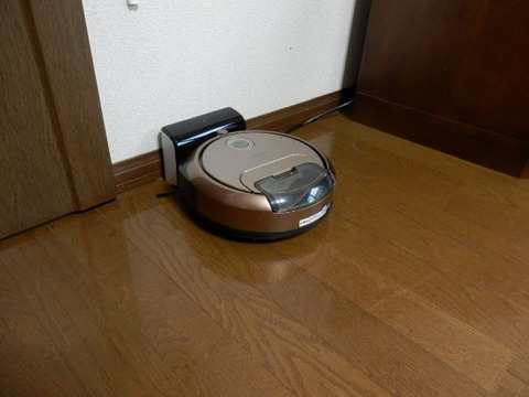 P8100298