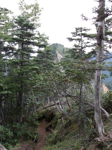 100_0264 (カスタム)