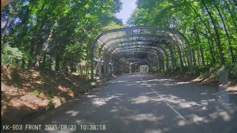 20250821103724_004876F - frame at 0m56s