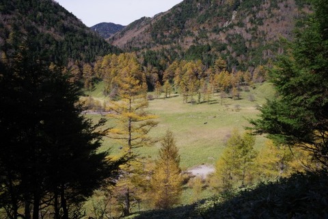 IMGP2604 (カスタム)