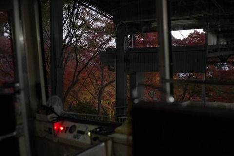 IMGP2840 (カスタム)