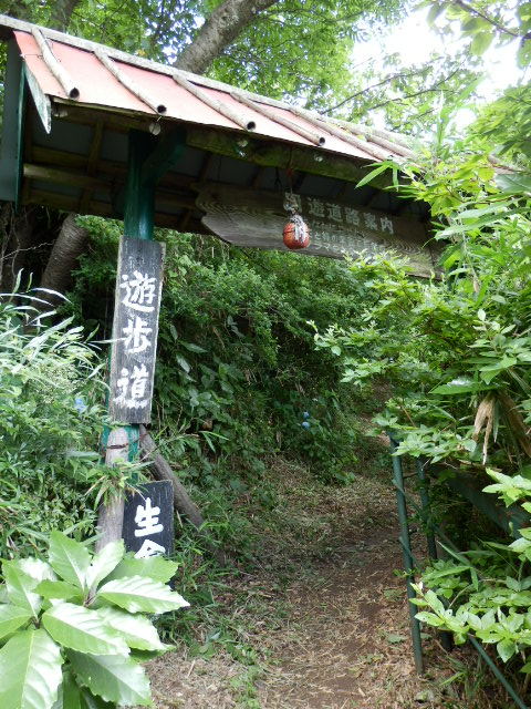 イメージ 16