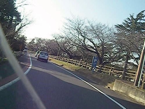 イメージ 7