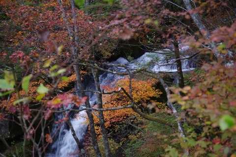 IMGP2689 (カスタム)