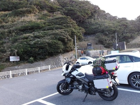 100_0687 (カスタム)