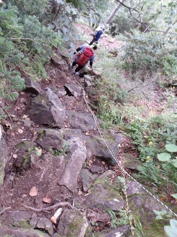 100_0269 (カスタム)