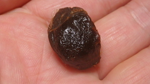 P7090105
