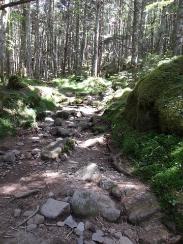 100_0112 (カスタム)