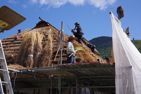 IMGP2448 (カスタム)