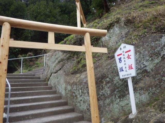 イメージ 39