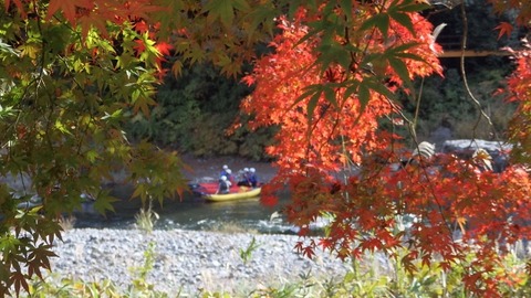 PB080251 (640x360)