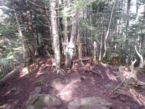 100_0190 (カスタム)