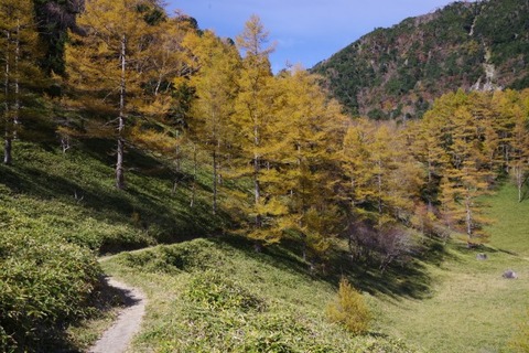 IMGP2613 (カスタム)