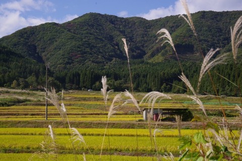 IMGP2547 (カスタム)