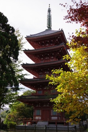 IMGP2742 (カスタム)