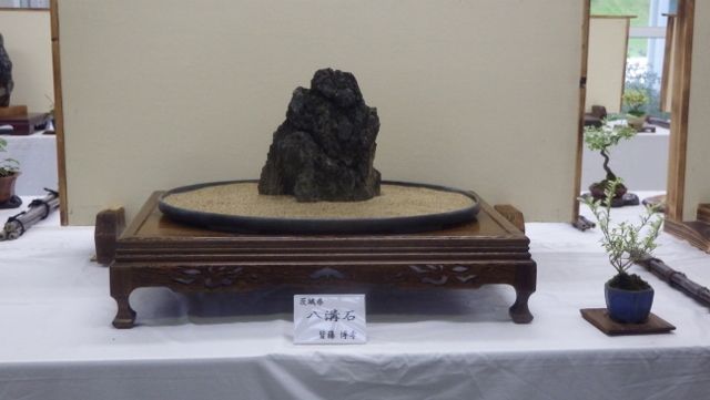 イメージ 11