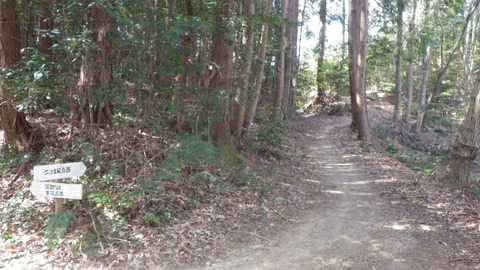 IMGP1065 (640x360)