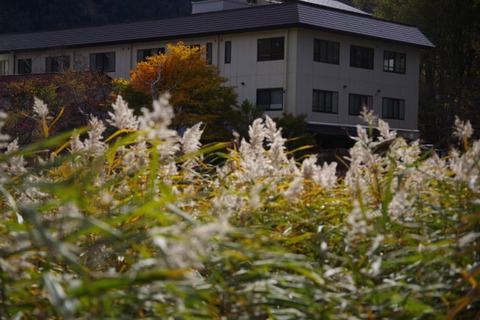 IMGP2673 (カスタム)