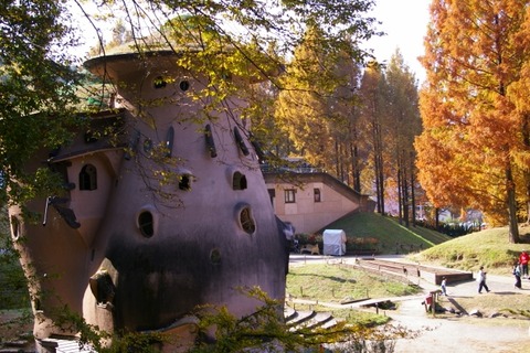 IMGP0010 (640x426)