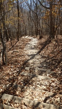 PB090407 (360x640)