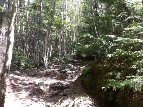 100_0113 (カスタム)