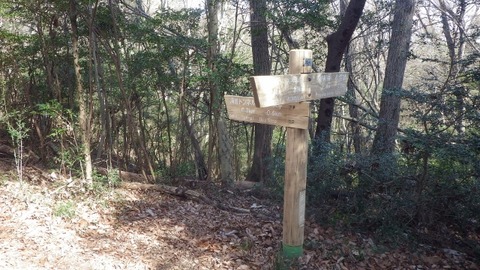 IMGP1058 (640x360)