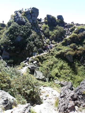 100_0219 (カスタム)