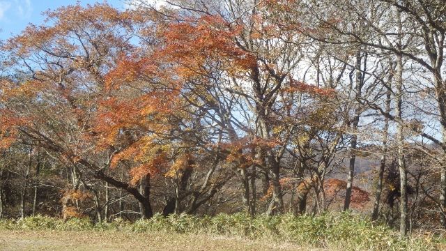イメージ 36