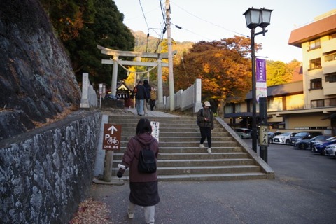 IMGP2799 (カスタム)