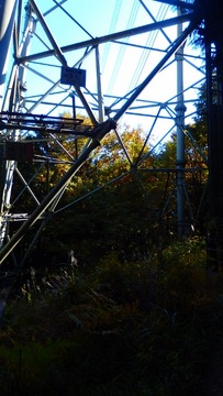 PB080223 (360x640)