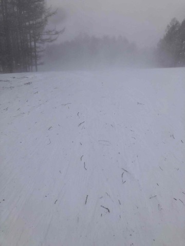 IMG_7433 (カスタム)