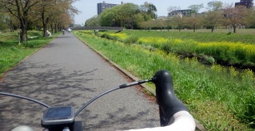 イメージ 5