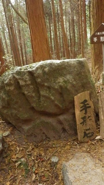 イメージ 9