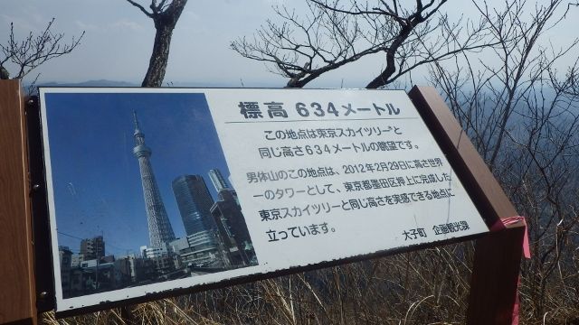 イメージ 16