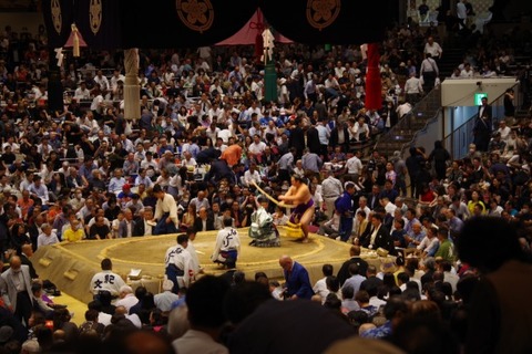 IMGP2415 (カスタム)