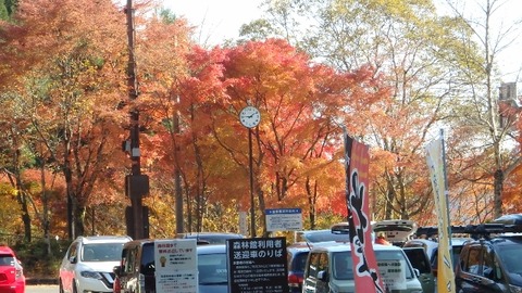 PB090448 (640x360)