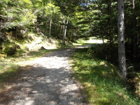 100_0109 (カスタム)