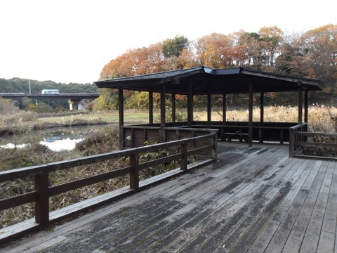 100_0141 (カスタム)