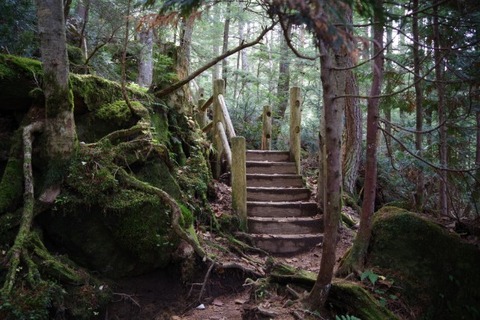 IMGP2637 (カスタム)