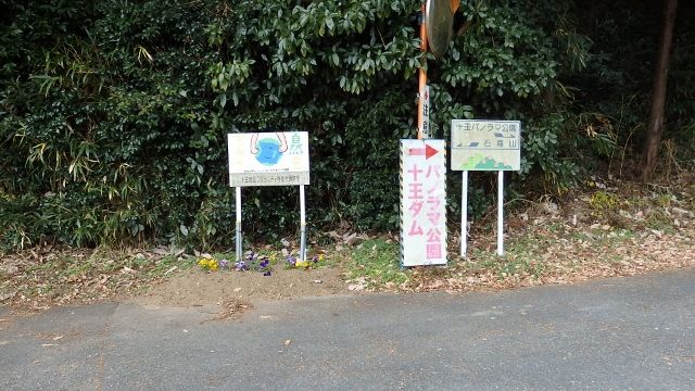 イメージ 8