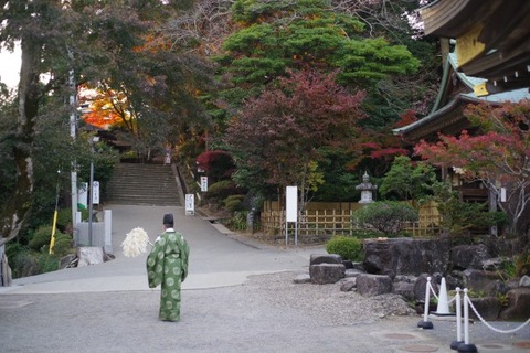 IMGP2811 (カスタム)