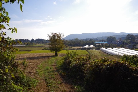IMGP0234 (640x427)