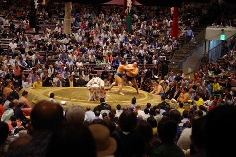 IMGP2378 (カスタム)