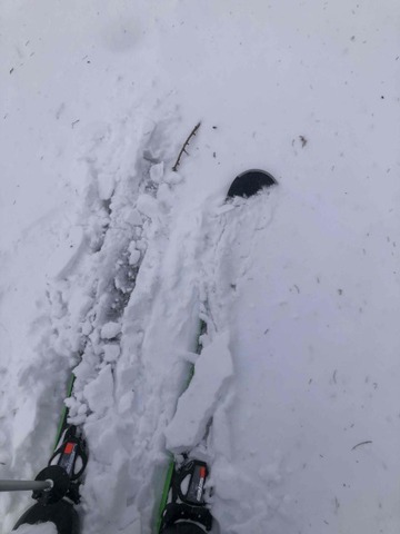 IMG_7436 (カスタム)