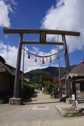 IMGP2516 (カスタム)