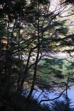 IMGP2621 (カスタム)