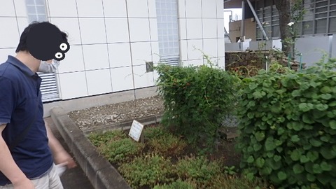 P9081631