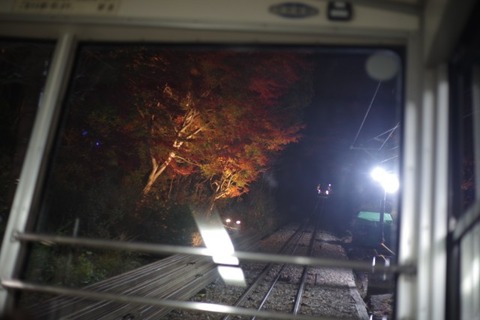 IMGP2925 (カスタム)