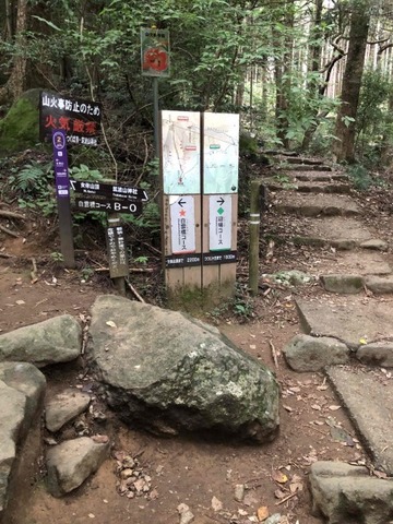 IMG_6651 (カスタム)