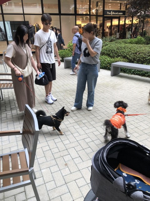 IMG_6596 (カスタム)